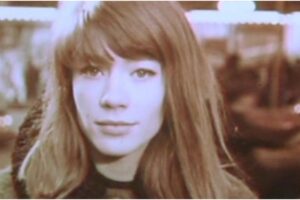 Françoise Hardy : ses chansons sur grand écran