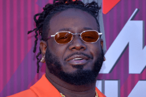 T-Pain publishing catalog HarbourView